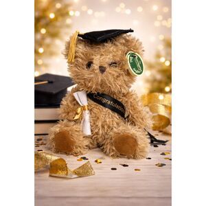 Bearington Ken Grats Graduation Bear 10” Plush Collectible Gift 2004 Vintage